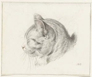 左に猫の頭