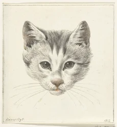 ろうそくの明かりで正面から見た猫の頭