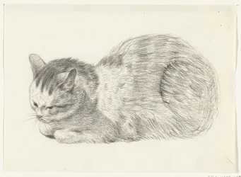 横たわる猫、左へ