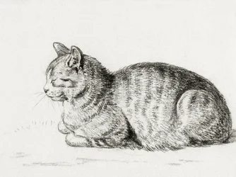 横たわる猫（1811年）