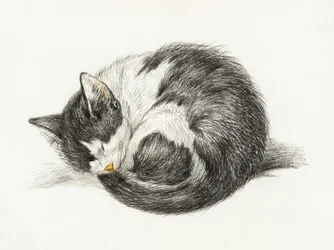 丸まって寝ている猫（1825年）