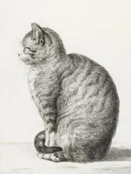 座る猫（1815年）