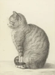 左に座っている猫。 1815