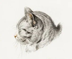 『猫の素描』（1813年）