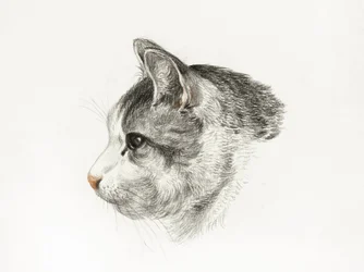 『猫の素描』（1819年） ジャン・ベルナール（1775年～1883年）作