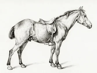 ジャン・ベルナール（1775–1883）作『立つ馬』