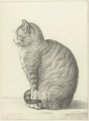 左に座っている猫