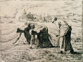 グリーナーズ、1855