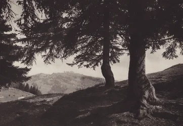 Rigi Staffel、Staffel の近くを歩く (b/w 写真)