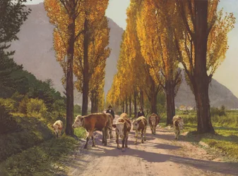 スイス：フィスプ近くのローヌ渓谷（カラー写真）