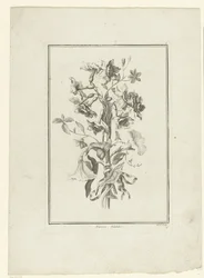 水仙とヒルガオの花束 Narcisse, Volubilis (オブジェクトのタイトル) IIe Cahier de Bouquets (連載タイトル)