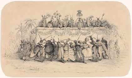 昆虫の球、1835年。