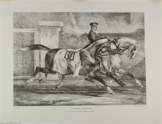 運動する馬たち」、第6巻、石と生から描かれた様々な題材より（イギリス組曲）