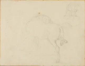 首をかしげ、後脚を上げる馬の習作