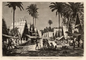 1854年から1862年にかけてのマレー諸島への航海を描いたJ.Moynetの絵をもとに、イギリス人のアルフレッド・ラッセル・ウォレス（1823-1913）が彫ったものです。