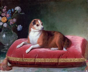 クッションの雌犬、c1694-1735