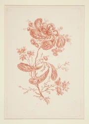 無題 (Ideal Flowers) 6点セットより