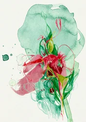 鮮やかな抽象的な花