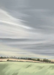 穏やかな田園の空