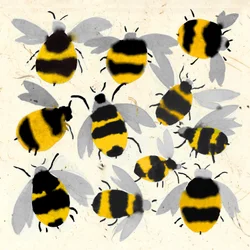 INKY BEES、2022年（水彩）