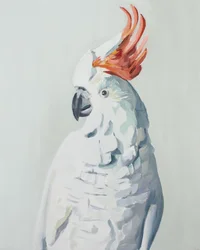白いオウム