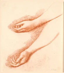 女性の左前腕の 2 つの習作。上部は Ankerske 家族の肖像画に使用されています。