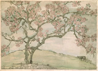 リンゴの花