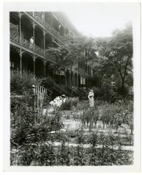 Rhinelander House gardens, W 11th St , Greenwich Village, New York, USA, c.1905-38 （ゼラチンシルバー写真