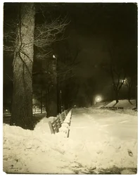 夜のザ・モール（米国マサチューセッツ州ボストン、1902-10年頃）（ゼラチンシルバー写真