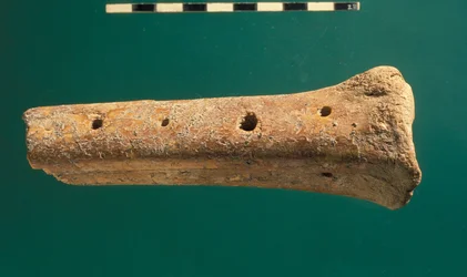 ダビデ市フルート（骨）