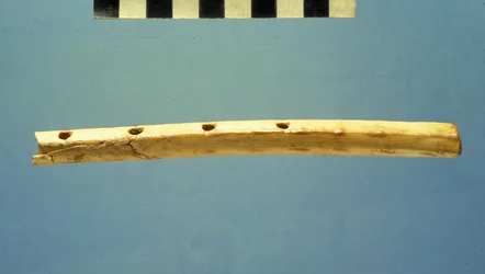 ダビデ市フルート、紀元前799〜600年頃（骨）