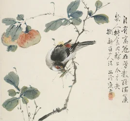 バッタを食べる中国の華族（1857年