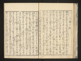 文章