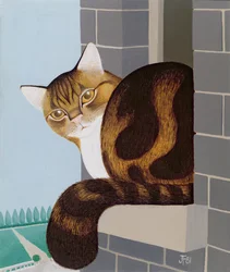 窓枠の上の猫
