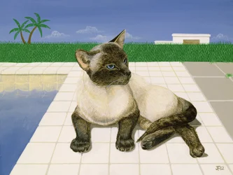 スイミングプールのそばのシャム猫