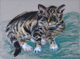 トラネコ、2005年