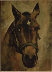 CABEZA DE CABALLO。アーティスト：JOAQUIN SOROLLA。場所：プライベートコレクション、マドリード、スペイン