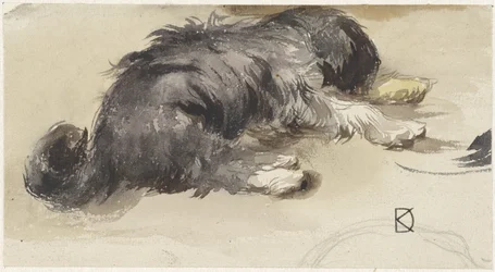 後ろから見た眠っている犬