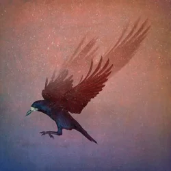 鳥の王国、2018年（フォトアート）
