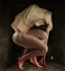 恥、2012年（写真）