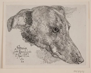 デンマーク語： Hundehoved, Snip