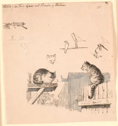 二匹の猫。 F.o. 猫の頭、鳥、猫の耳、梁の研究。 Kaalund の「Fables for Children」のイラスト。 シート カタログのコメントを参照してください。