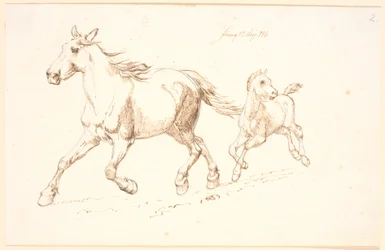 子馬と疾走する牝馬