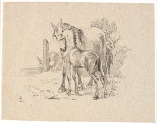 馬と子馬