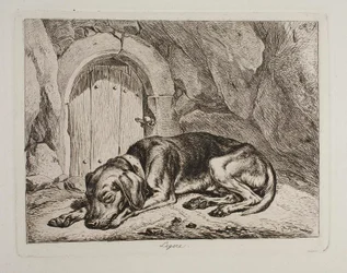 犬のレジェール