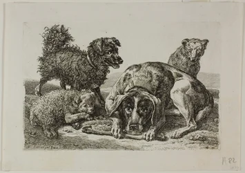 Die Zweite Thierfolge からの 4 匹の犬