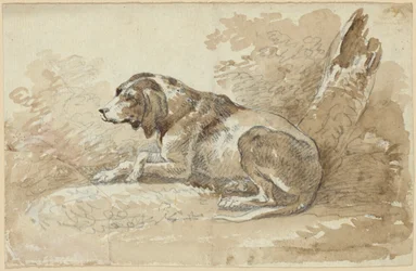 犬の習作二点