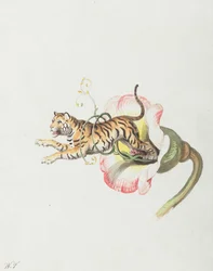 花冠から飛び跳ねる虎。花の種の寓話、1817年。