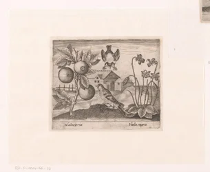 風景の中に花や動物を描いた版画シリーズ 柑橘類、鳥、スミレのある風景 動植物と花のある風景（連載タイトル）