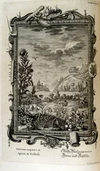 スイスの学者による「Physica Sacra」の銅版画。 ヨハン・ヤコブ・ショイツァー
